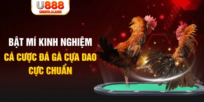 banca 30 casino hồ tràm có cho người việt vào không