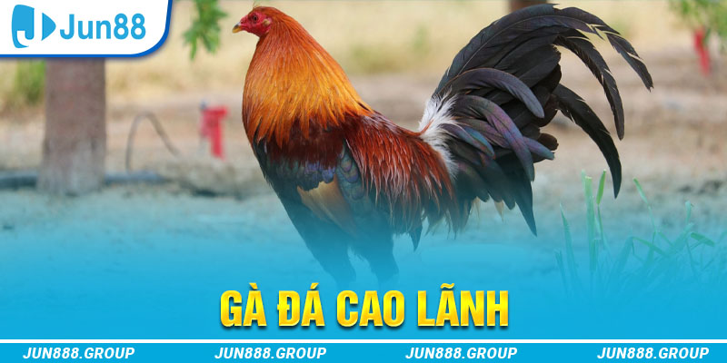 banca 30 tai game vua bai ve may tinh