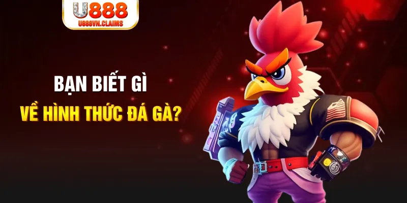 banca 30 đăng nhập liêng tặng tiền
