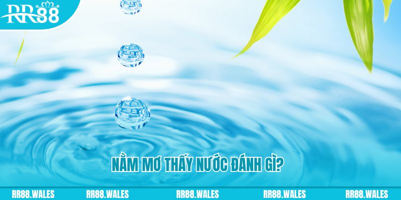 banca 30 xổ số trực tiếp miền bắc