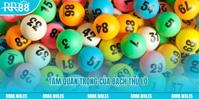 banca 30 đăng nhập sòng bạc live