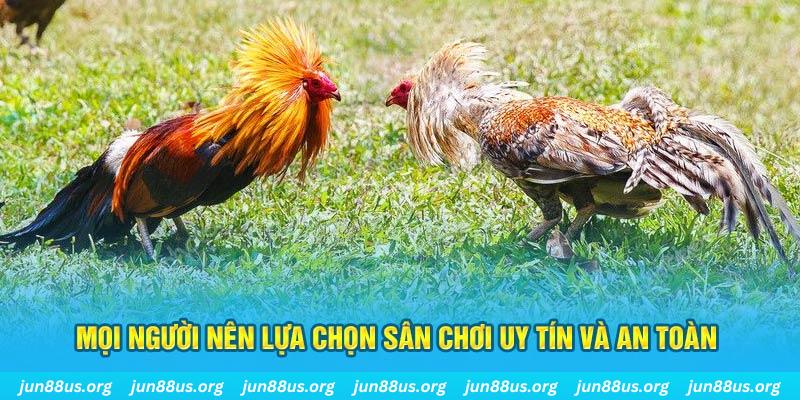 banca 30 đăng nhập poker 2025