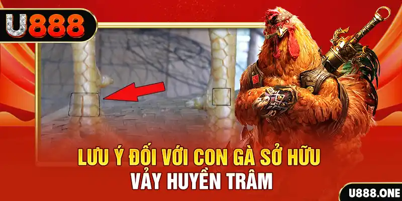 banca 30 tải game đánh bài tiến lên miền nam về máy tính
