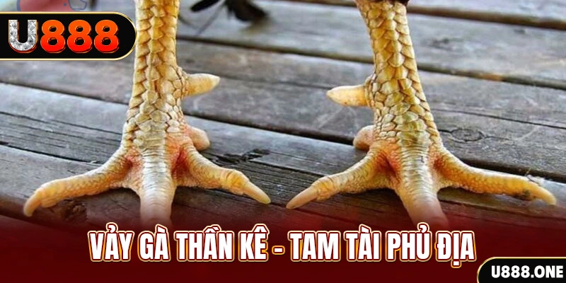 banca 30 so xo mien trung