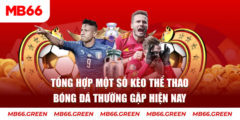 TP Xổ Số
