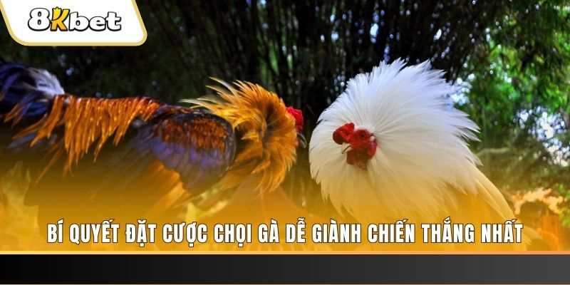 banca 30 nổ hũ chơi như thế nào