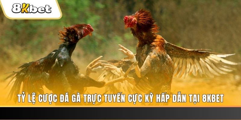 banca 30 xổ số miền bắc chủ nhật