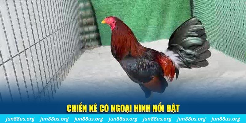 qq88 bắn cá